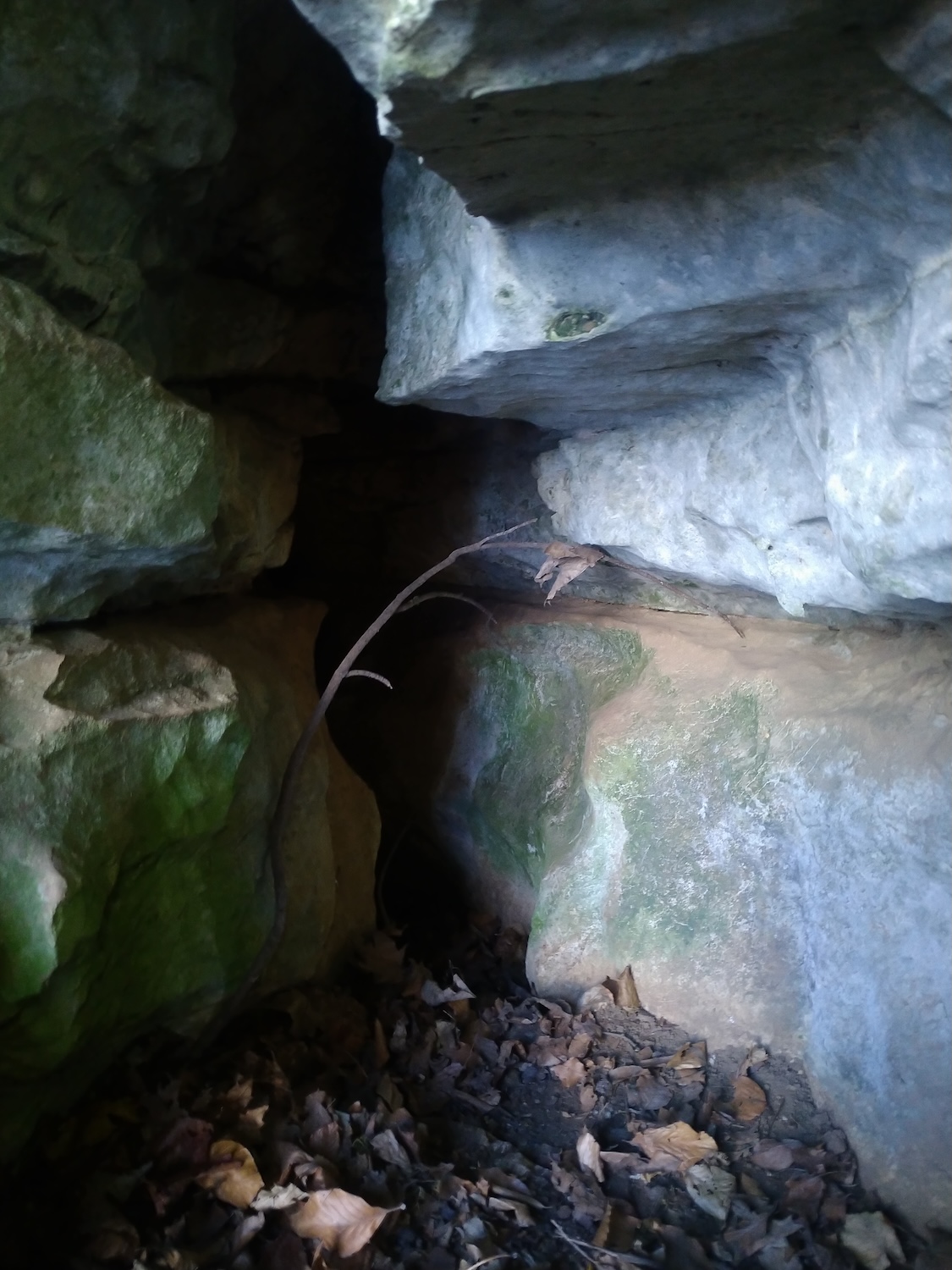 Pestera cu Meandre - Image 4